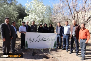 غرس نهال و گرامیداشت هفته منابع طبیعی و روز درختکاری با حضور ریاست و کارکنان آموزشکده فنی امام علی(ع) یزد 2