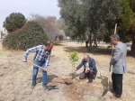 برگزاری مراسم روز درختکاری در آموزشکده امام علی (ع) یزد 16