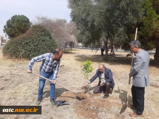 برگزاری مراسم روز درختکاری در آموزشکده امام علی (ع) یزد 16